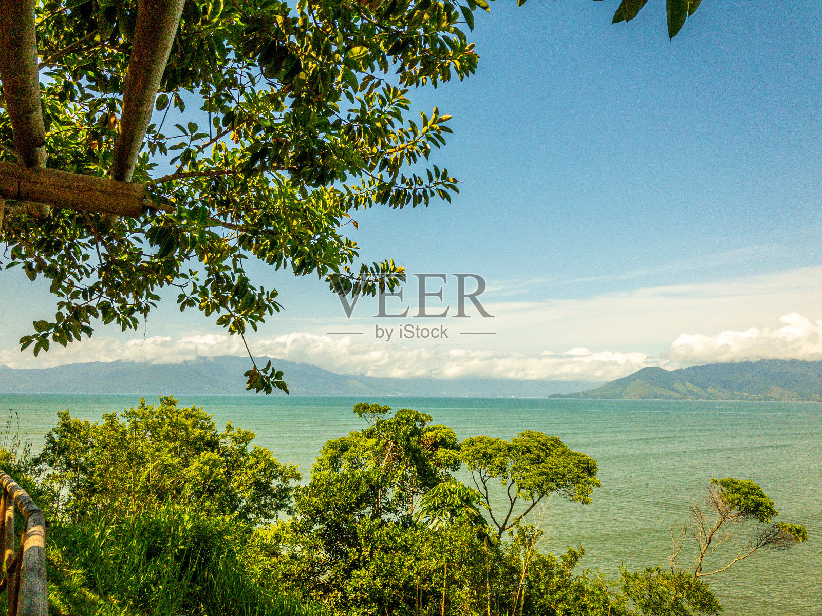 丛林和海洋照片摄影图片