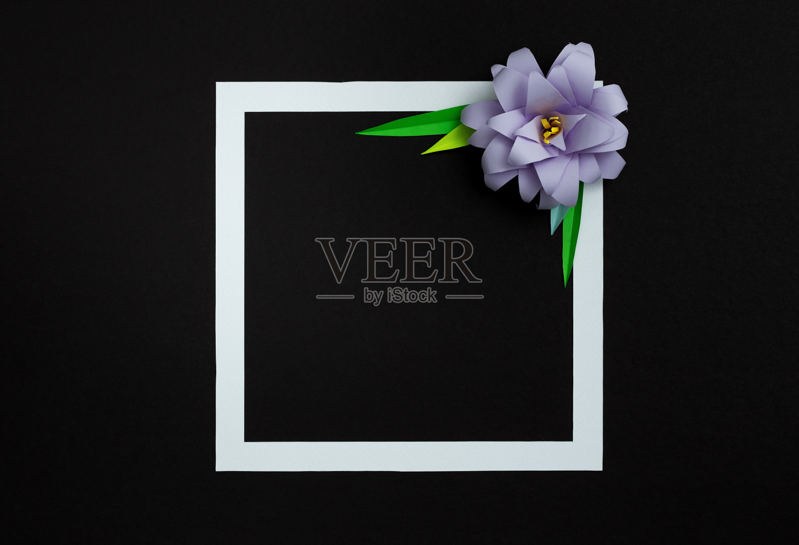 方框与淡紫色粉彩纸花在黑色的背景。平铺，复制空间，花艺照片摄影图片