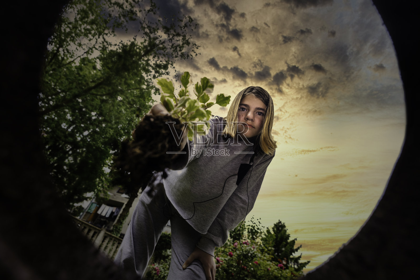 在空地上种花照片摄影图片