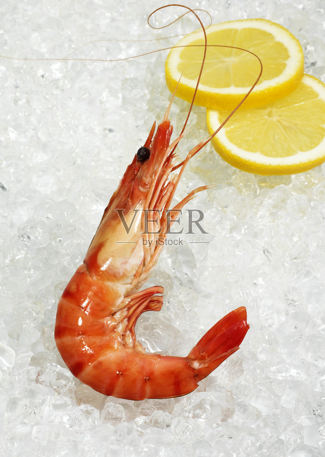 冰鲜虾配柠檬片照片摄影图片