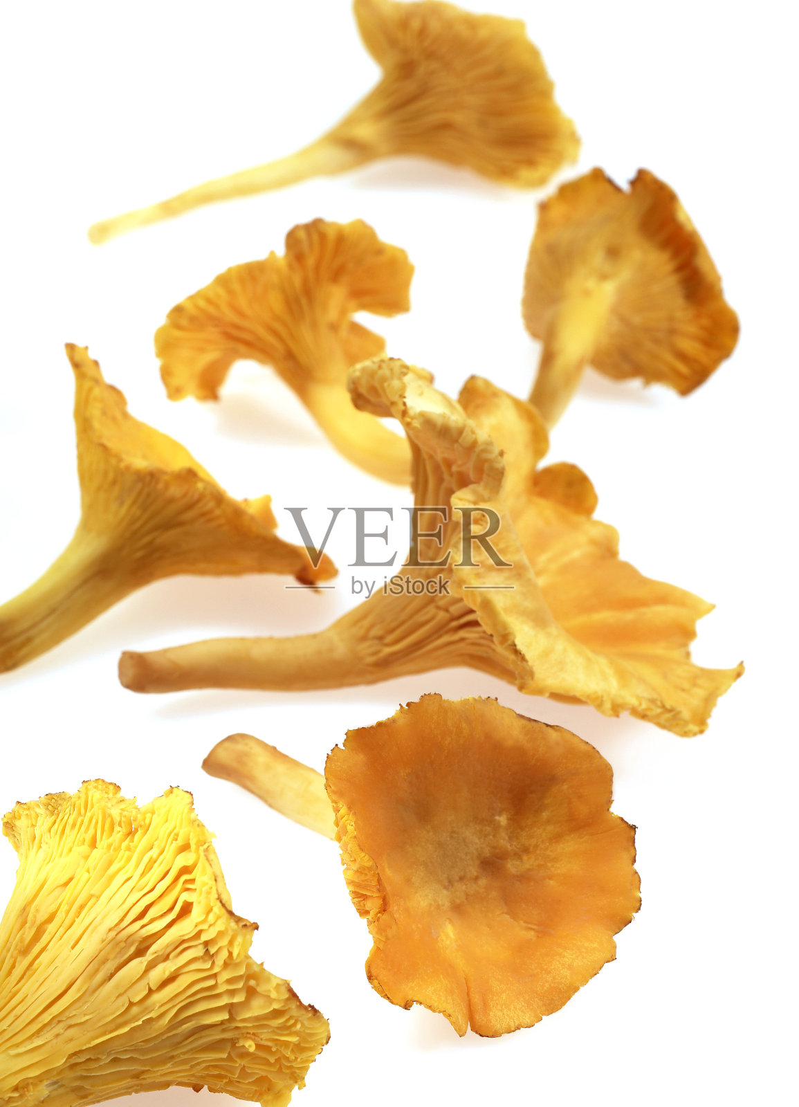 白色背景下的鸡油菌、香菇、斑纹草照片摄影图片