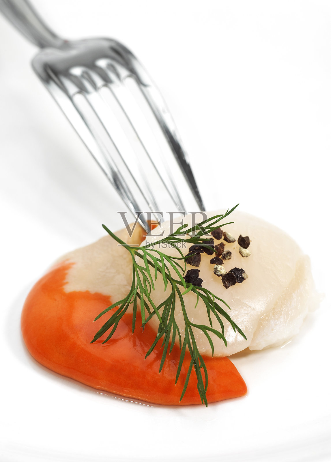 鲜扇贝与莳萝照片摄影图片