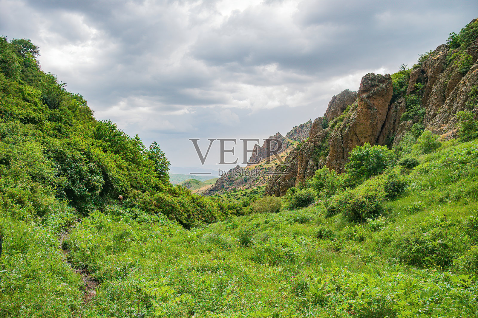 我的照片照片摄影图片