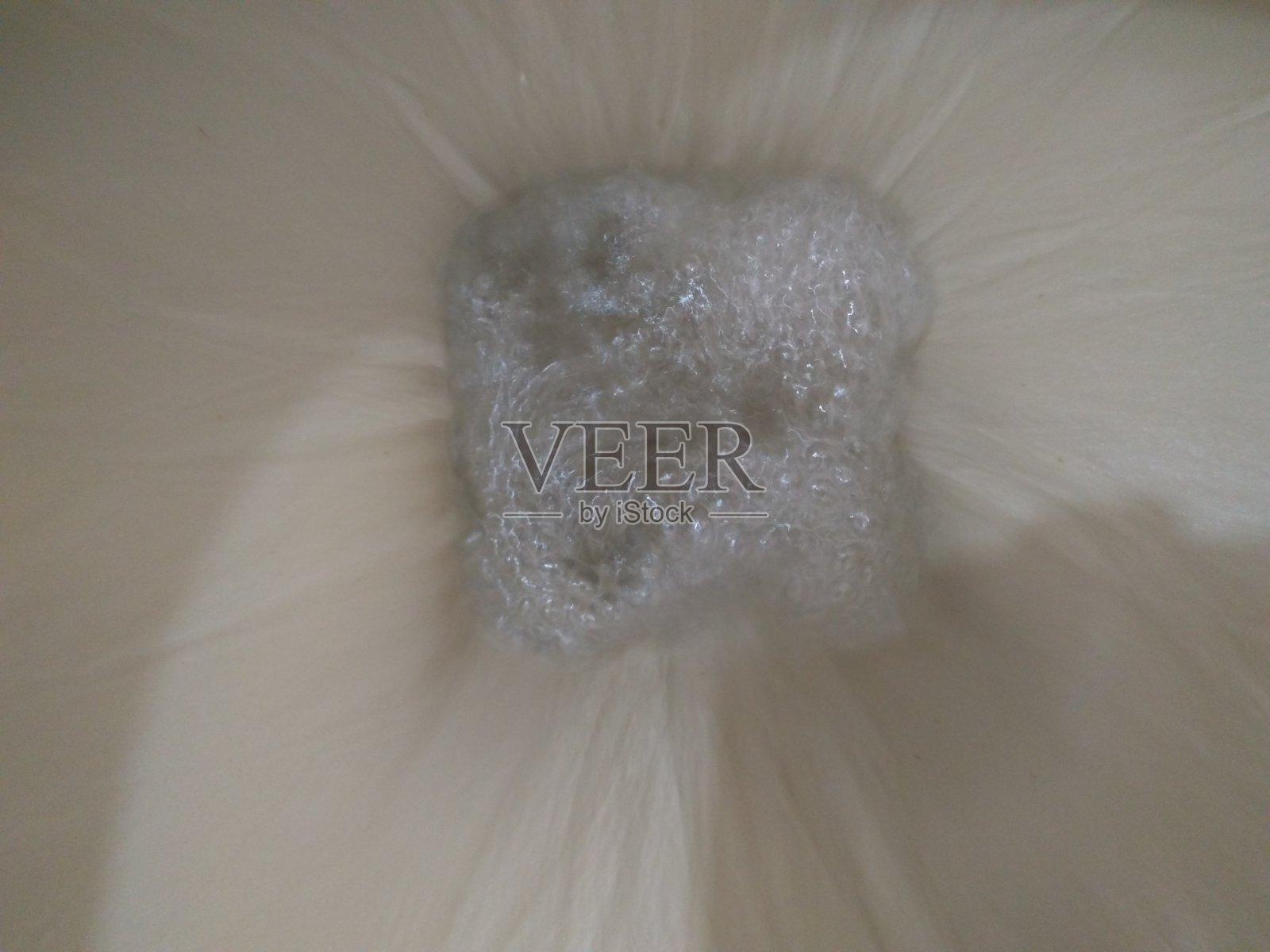 冲洗照片摄影图片