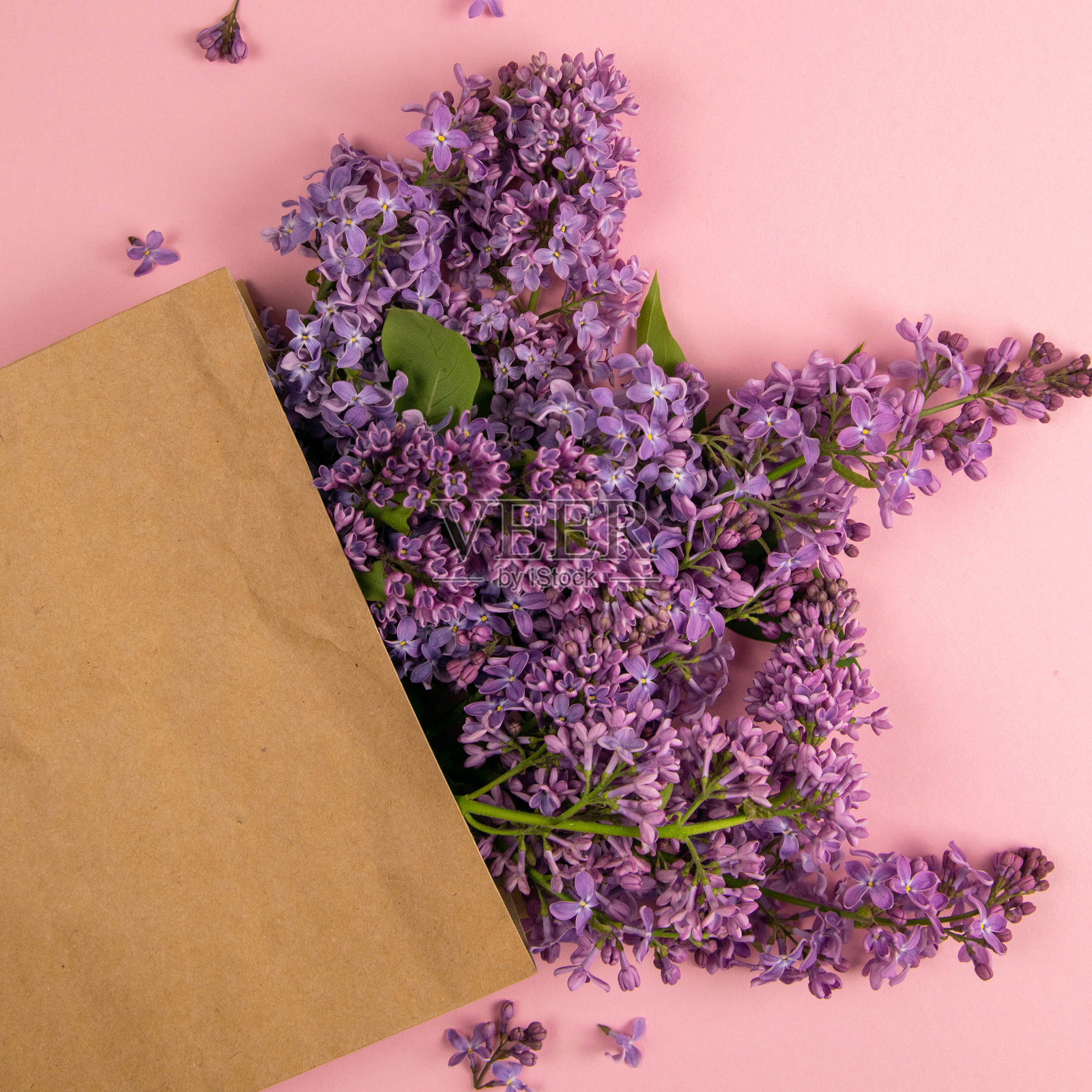 纸工艺品包装与丁香花在粉红色的背景。创造性的成分。春季大甩卖，自然美、有机化妆品店市场大旗照片摄影图片