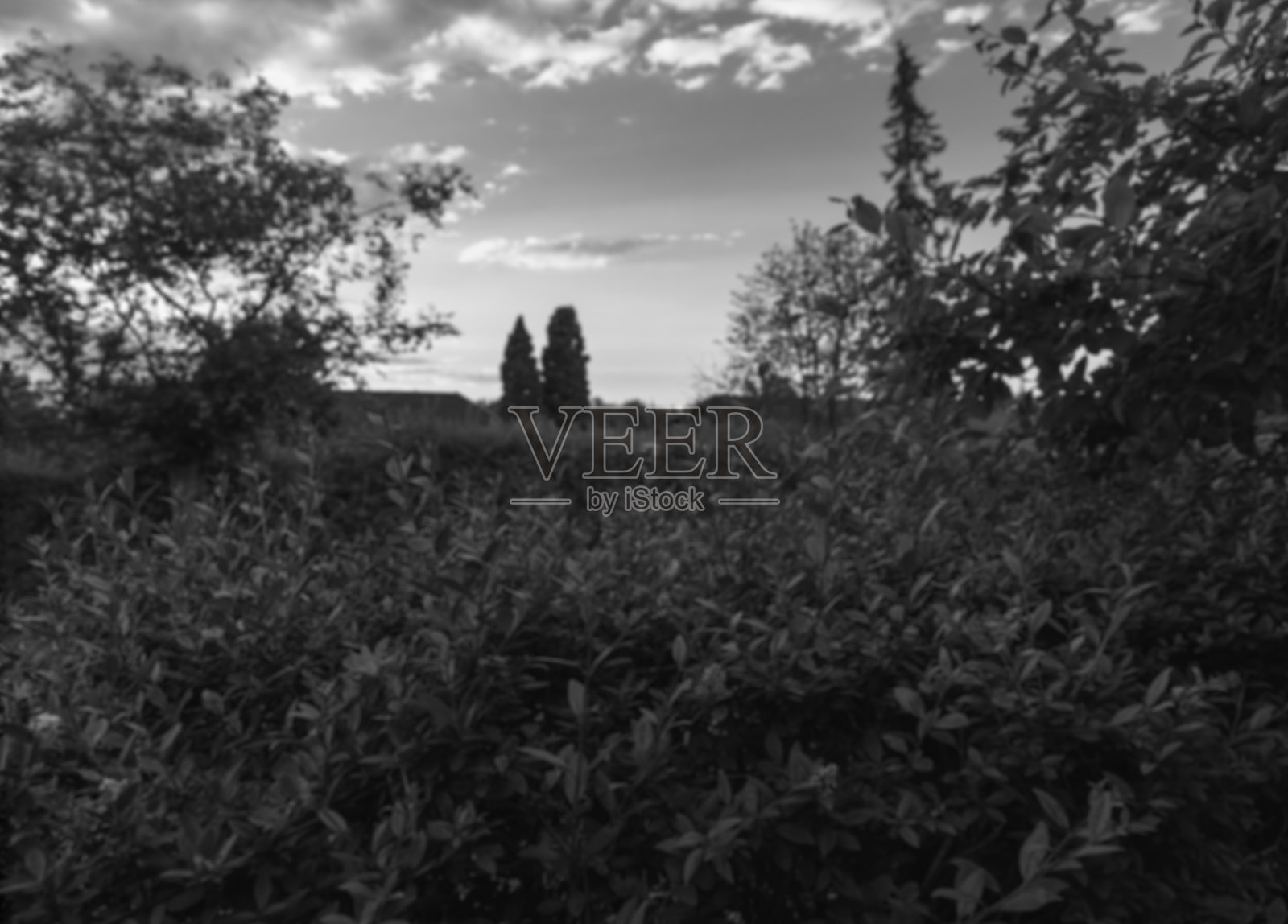 哥本哈根乡村的模糊黑白照片照片摄影图片