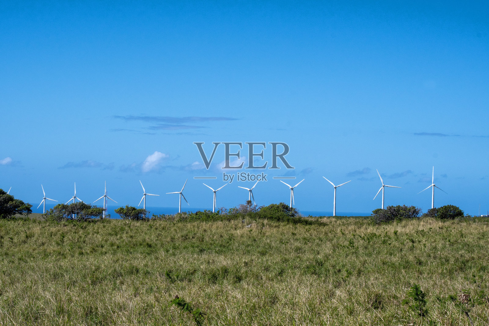 风力涡轮机排照片摄影图片