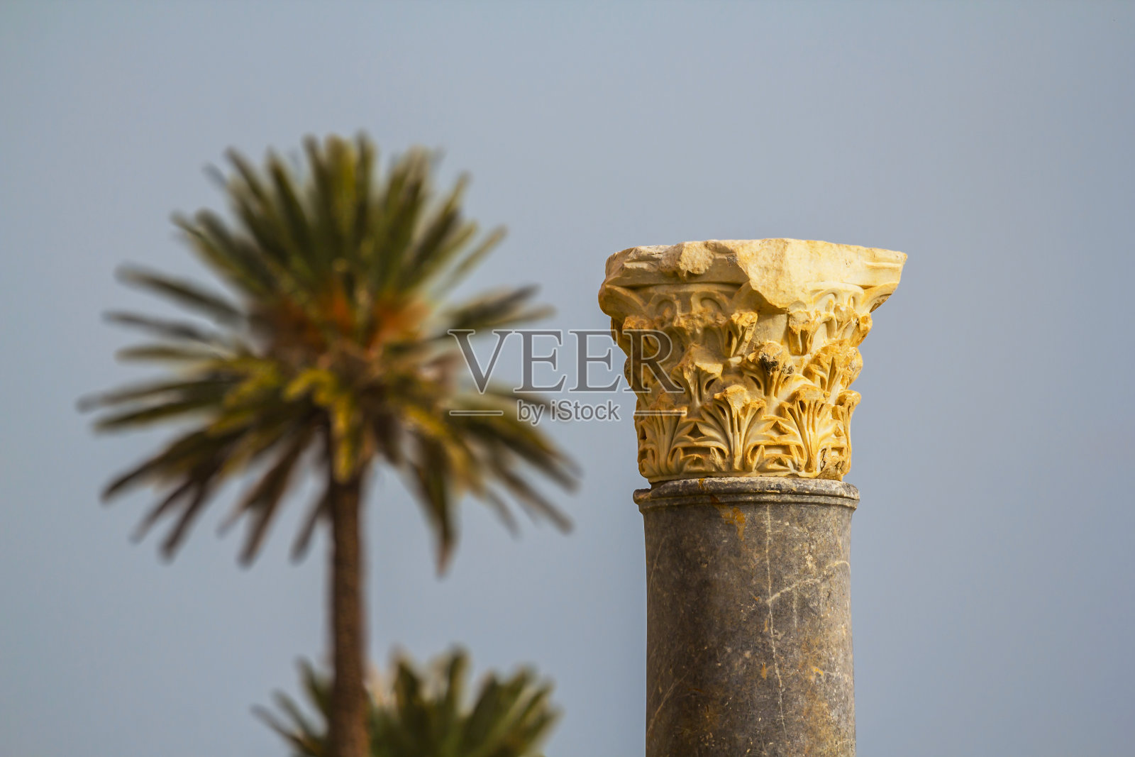古老的圆柱和棕榈树照片摄影图片