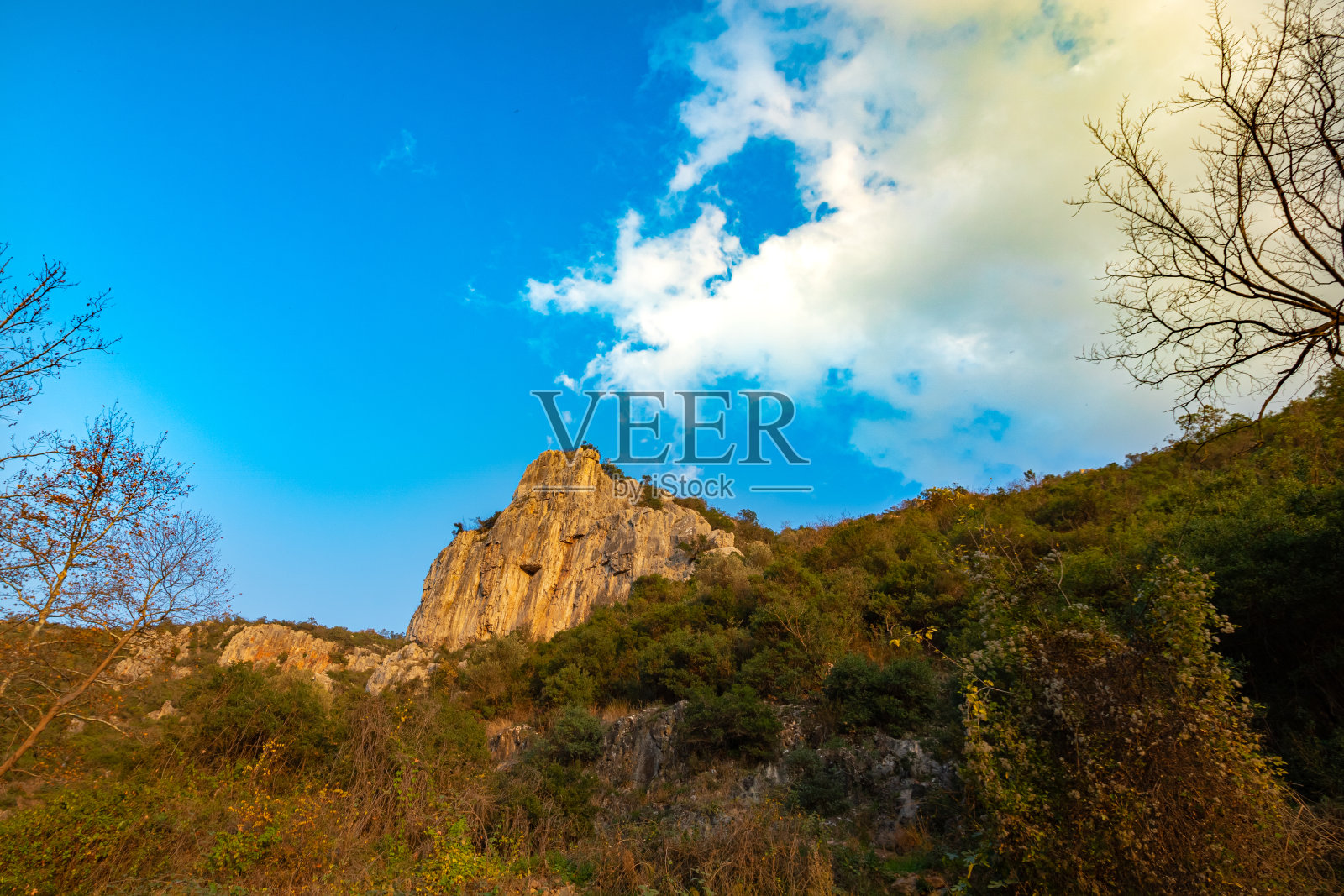 森林中的岩石照片摄影图片