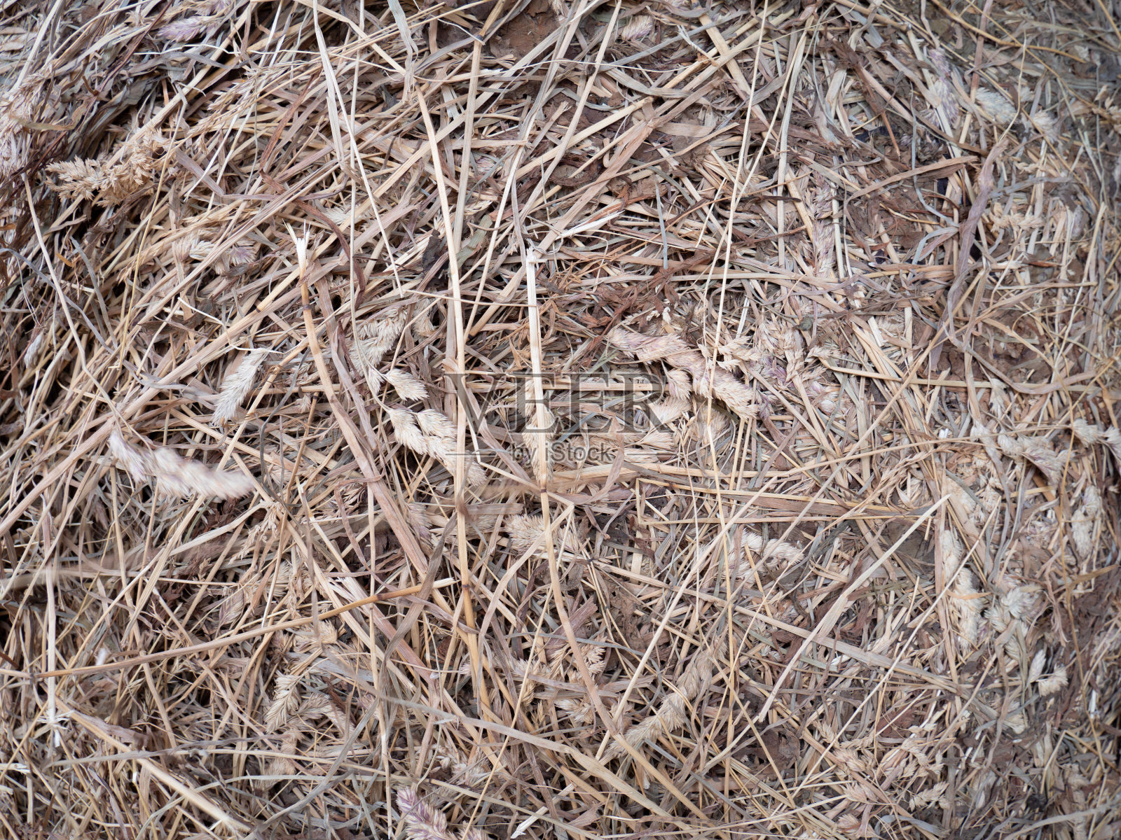 干金黄色干草特写。农业收成照片摄影图片