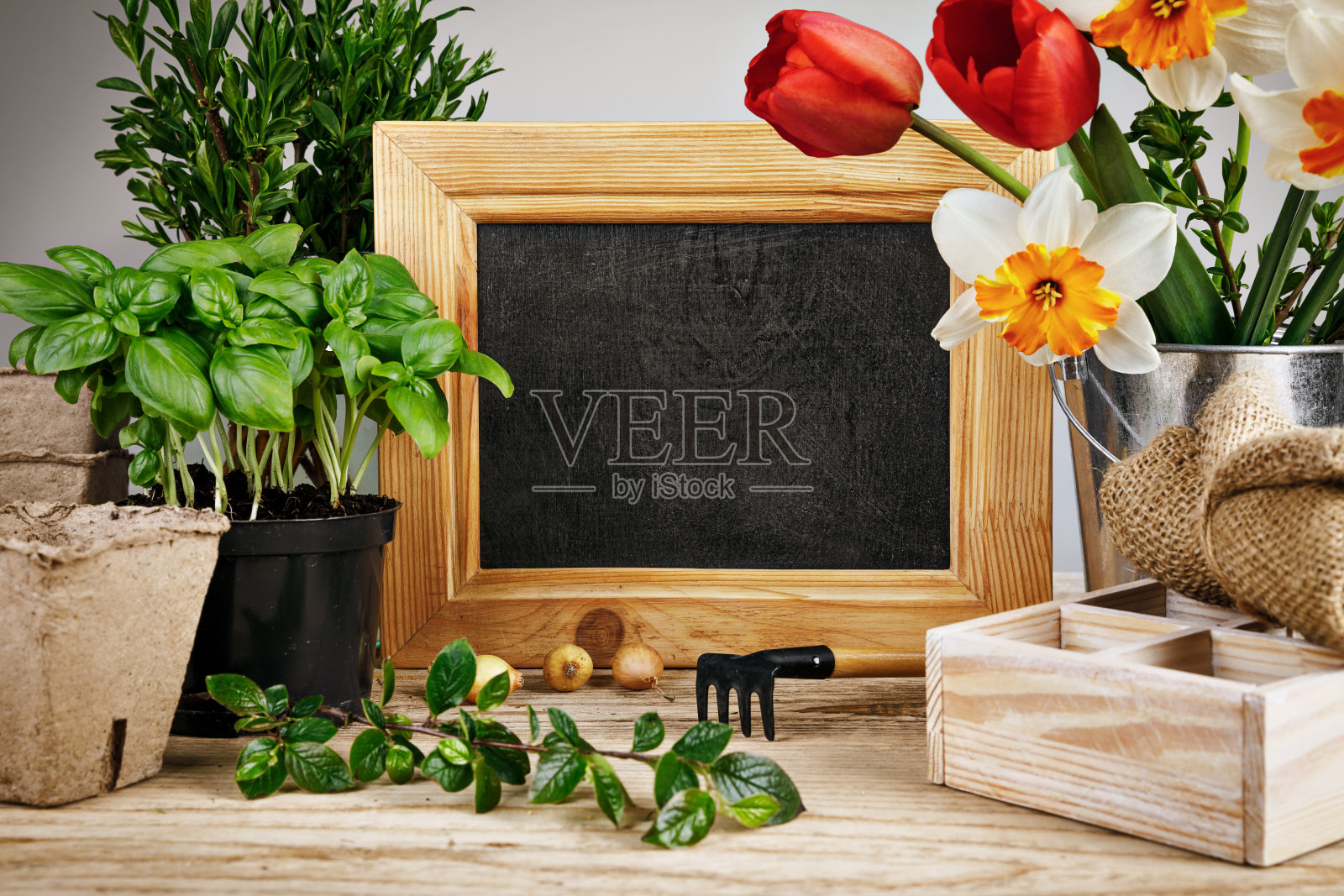 园艺种植。有园艺工具的静物画照片摄影图片