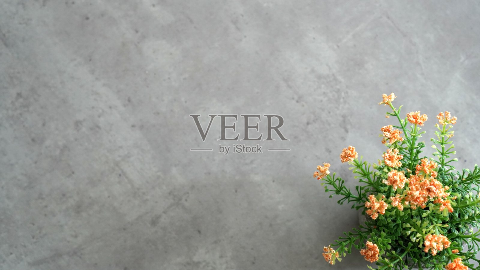 桌子上放着人造花照片摄影图片