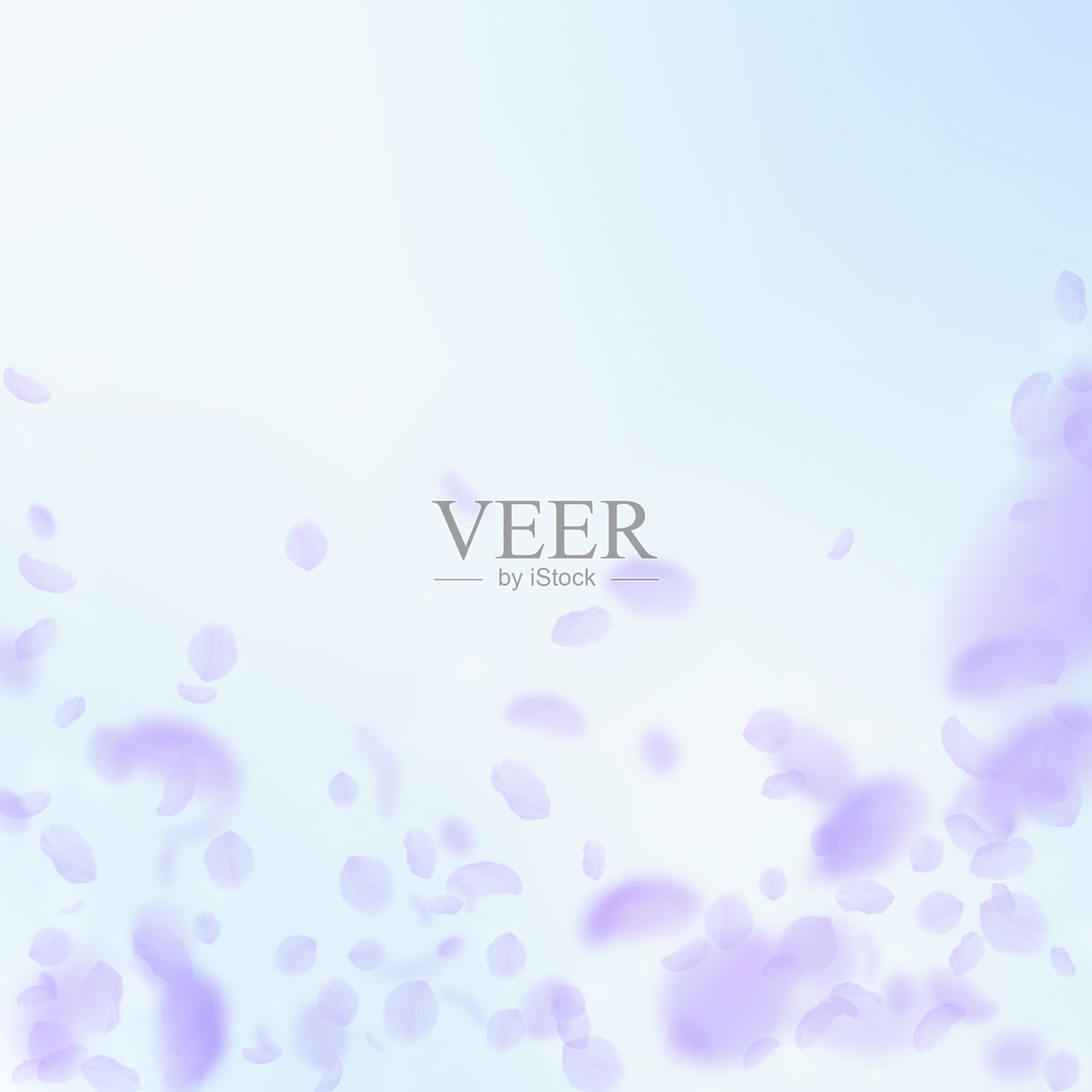 紫罗兰花瓣飘落。优秀的罗马插画图片素材