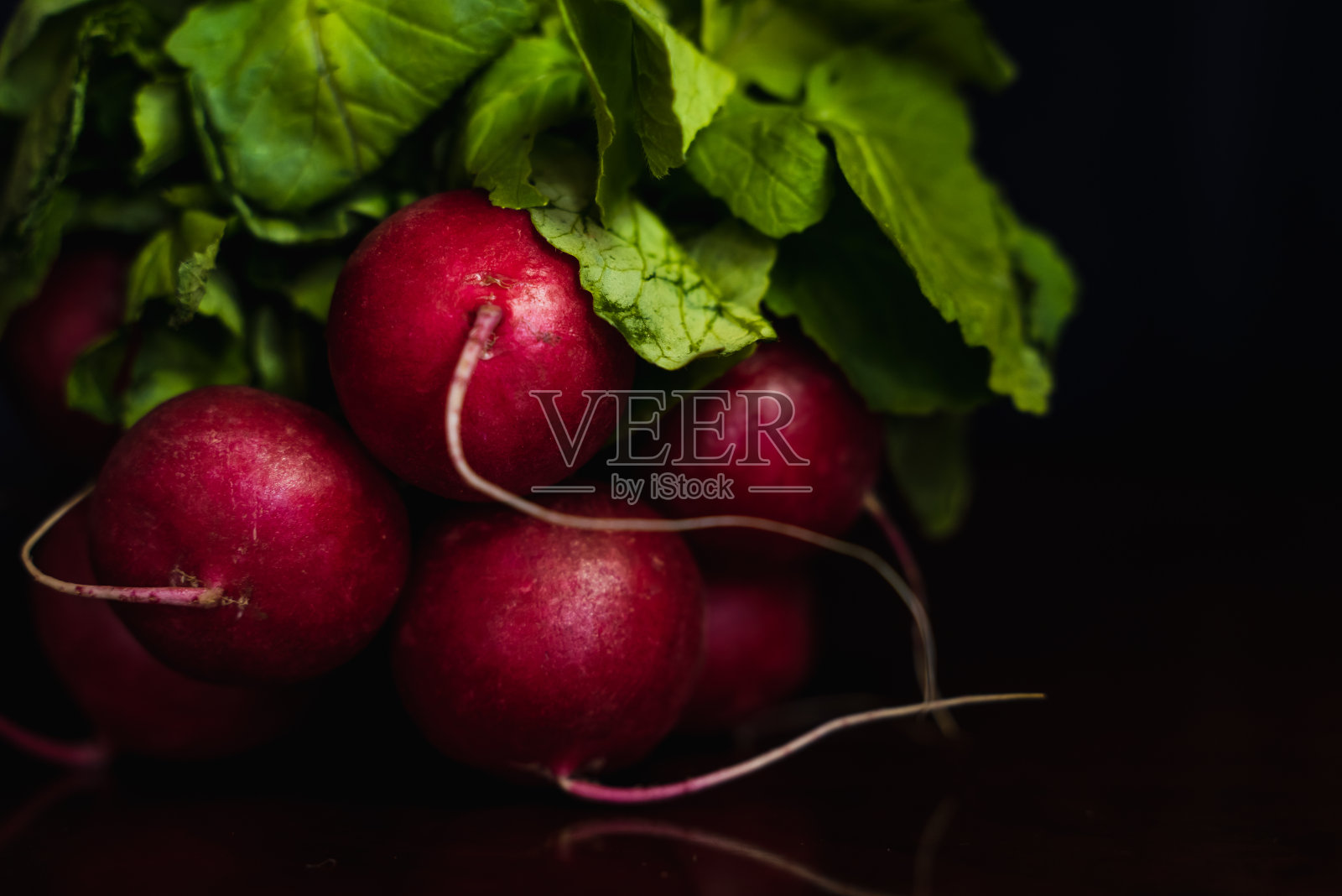 一串黑色背景的萝卜照片摄影图片