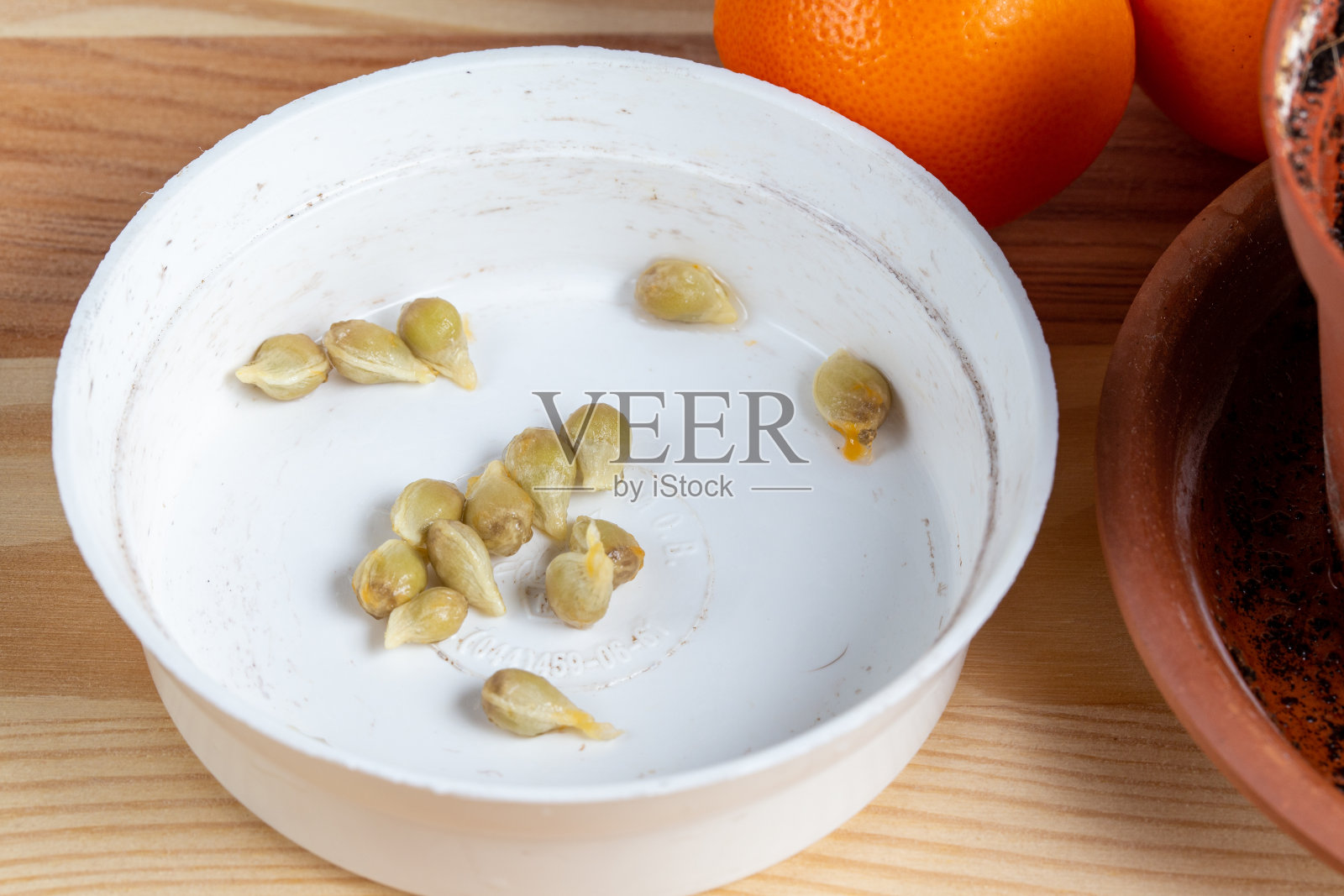 有把手的柠檬照片摄影图片