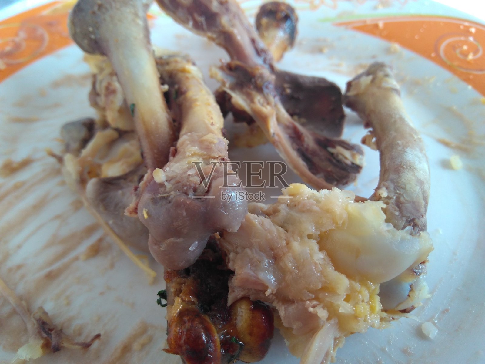 鸡照片摄影图片