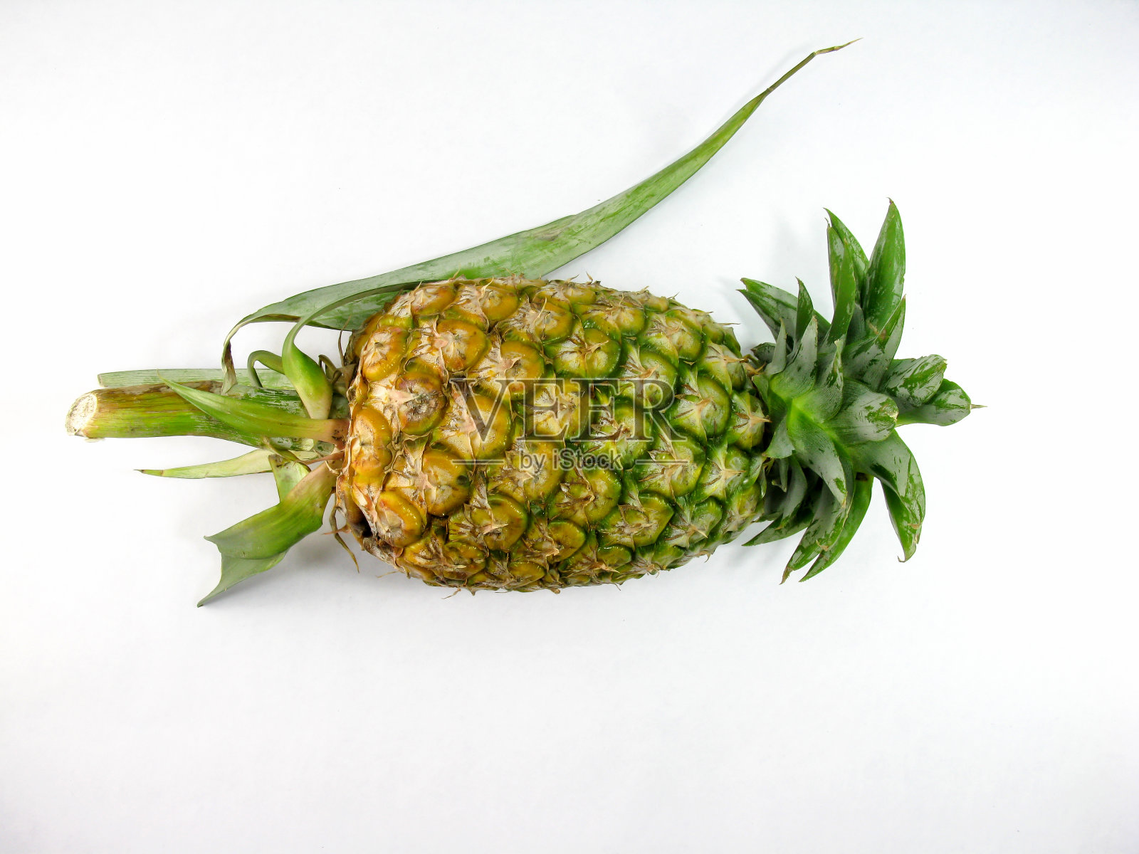 白色背景上的菠萝照片摄影图片