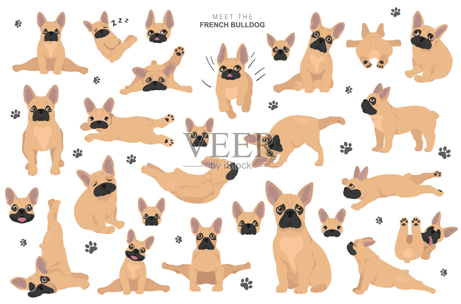 法国斗牛犬剪狗健康剪影和插画图片素材