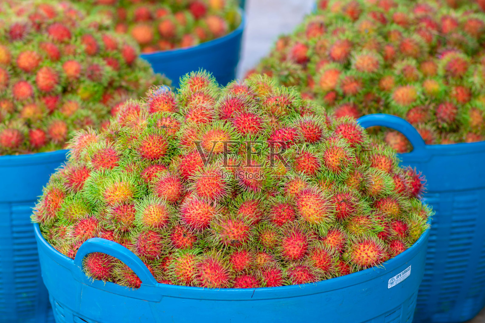 靠近许多红色红毛丹在蓝色的篮子。红毛丹是香甜可口的水果。背景新鲜泰国红毛丹。红色和绿色。照片摄影图片