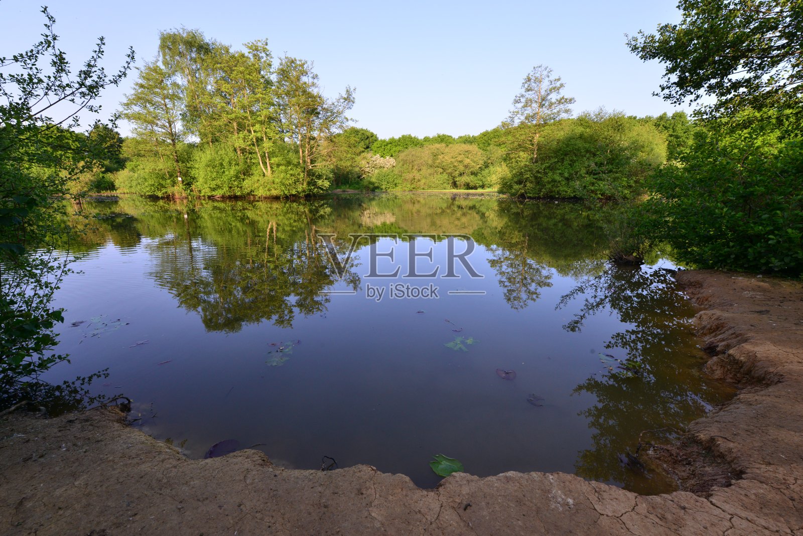 5月在萨里郡霍利河畔公园。照片摄影图片