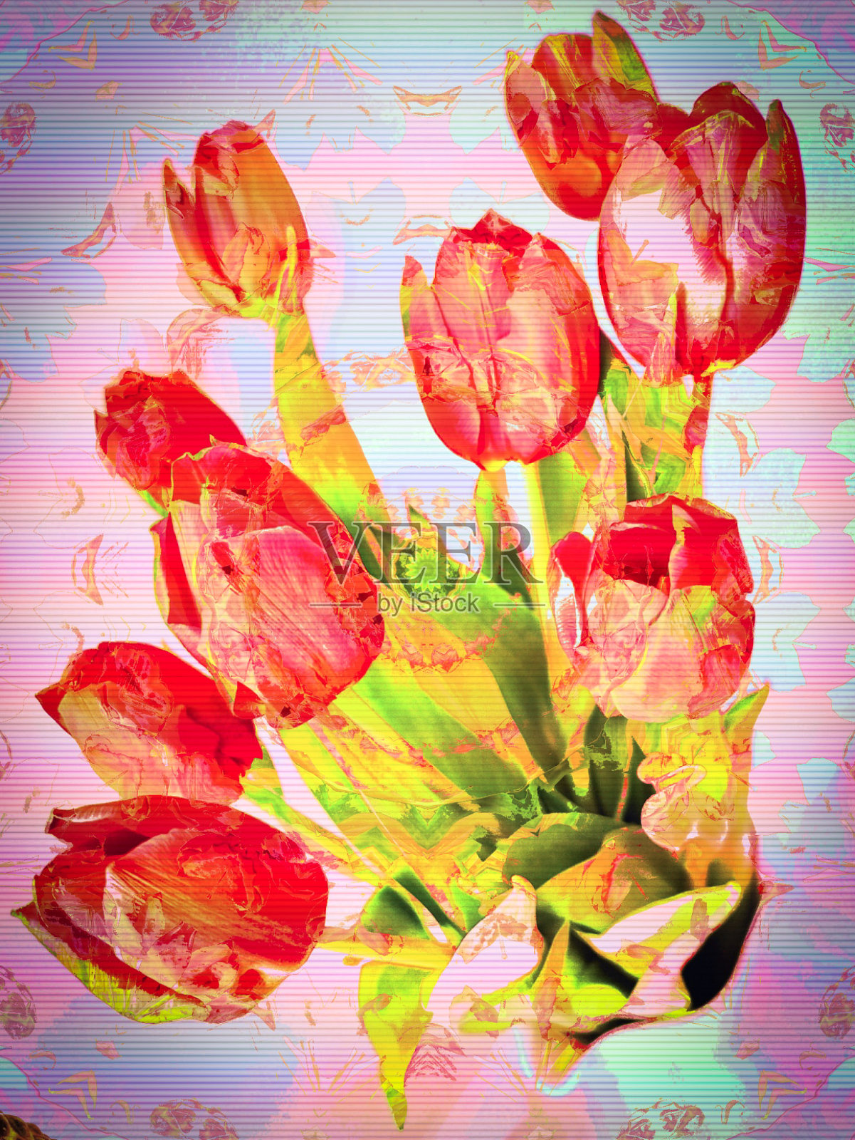 彩纸上的郁金香照片摄影图片