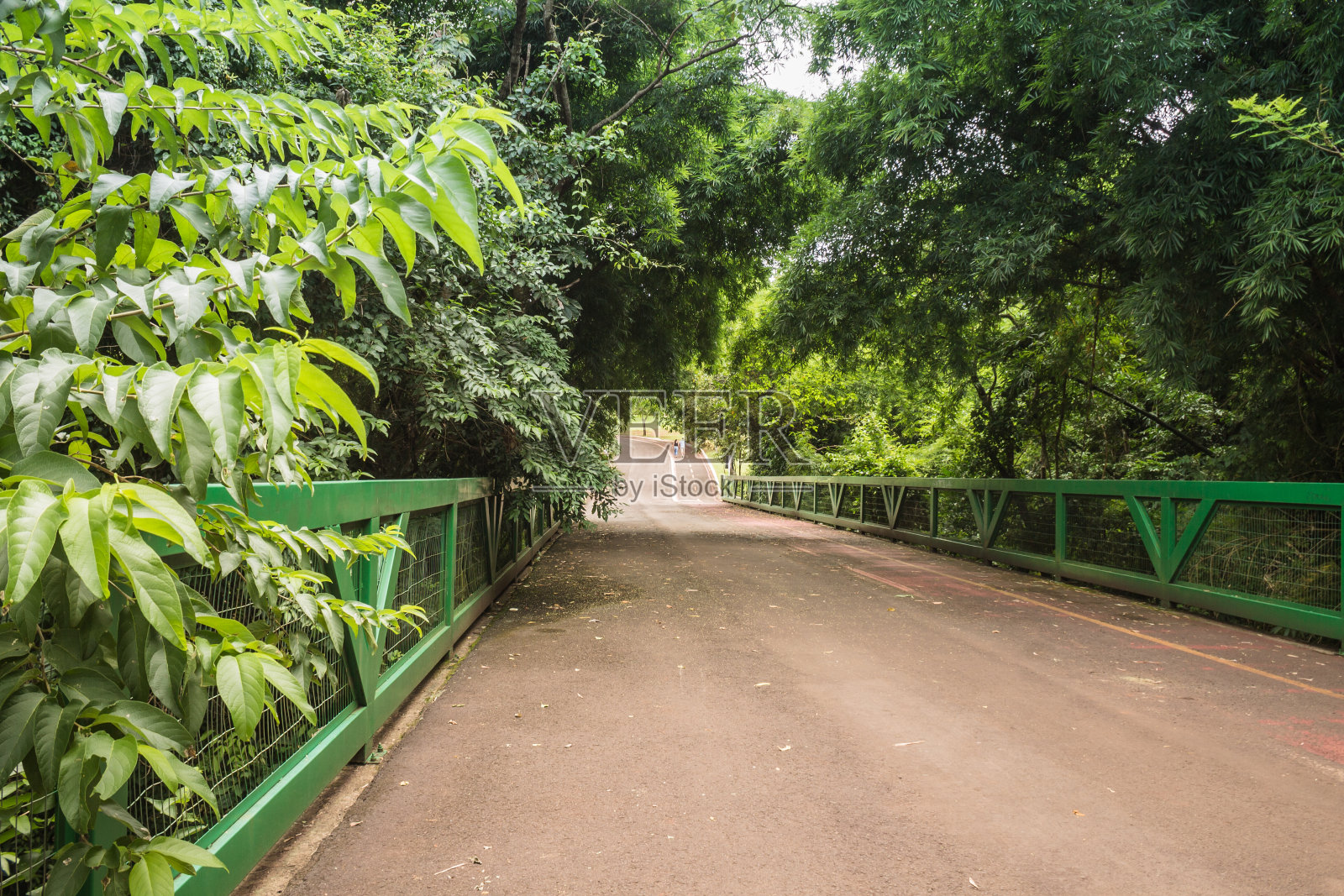 Parhway thought trees - Parque das nacion indigenas, Campo Grande, MS .，巴西照片摄影图片