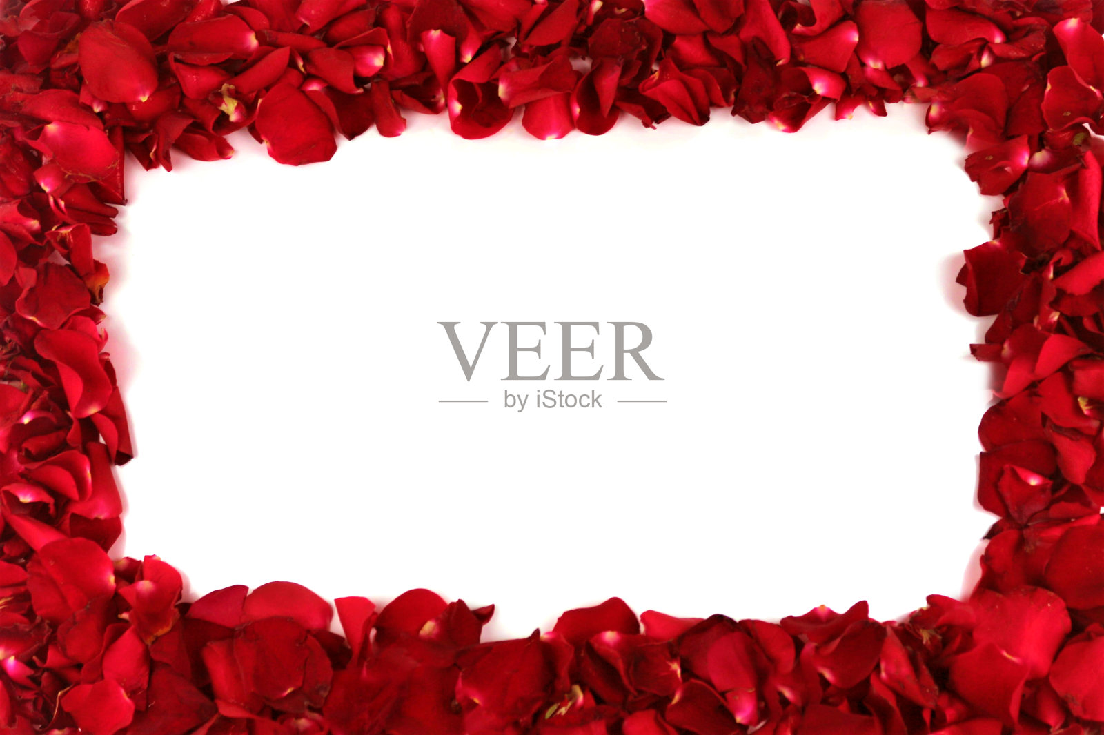 框架照片摄影图片