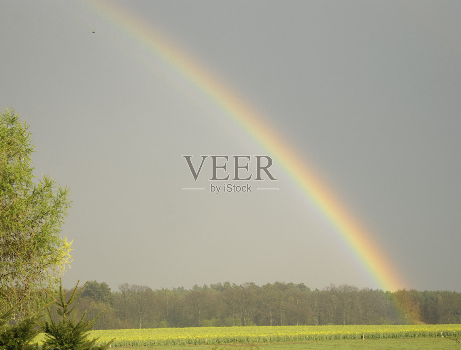 彩虹照片摄影图片