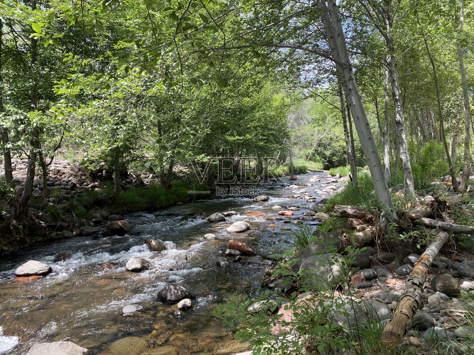 封锁期间的塞多纳夏季照片摄影图片