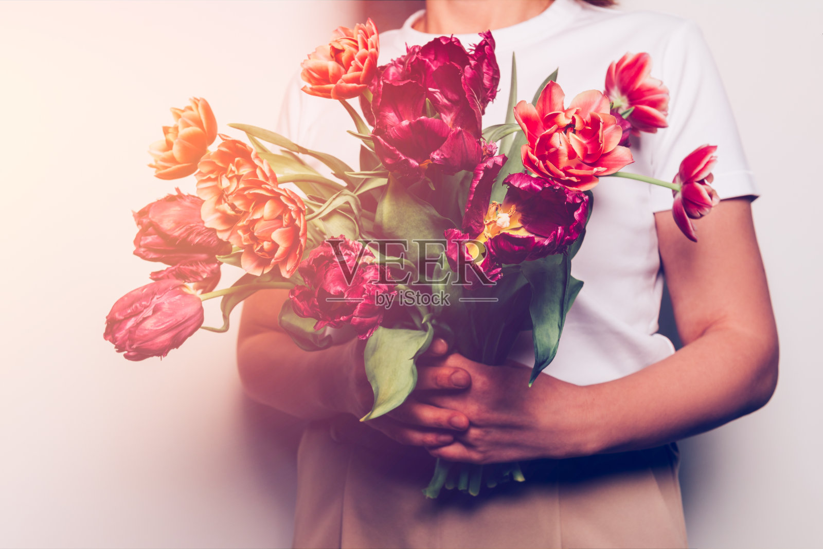 美丽的一束牡丹风格的郁金香照片摄影图片