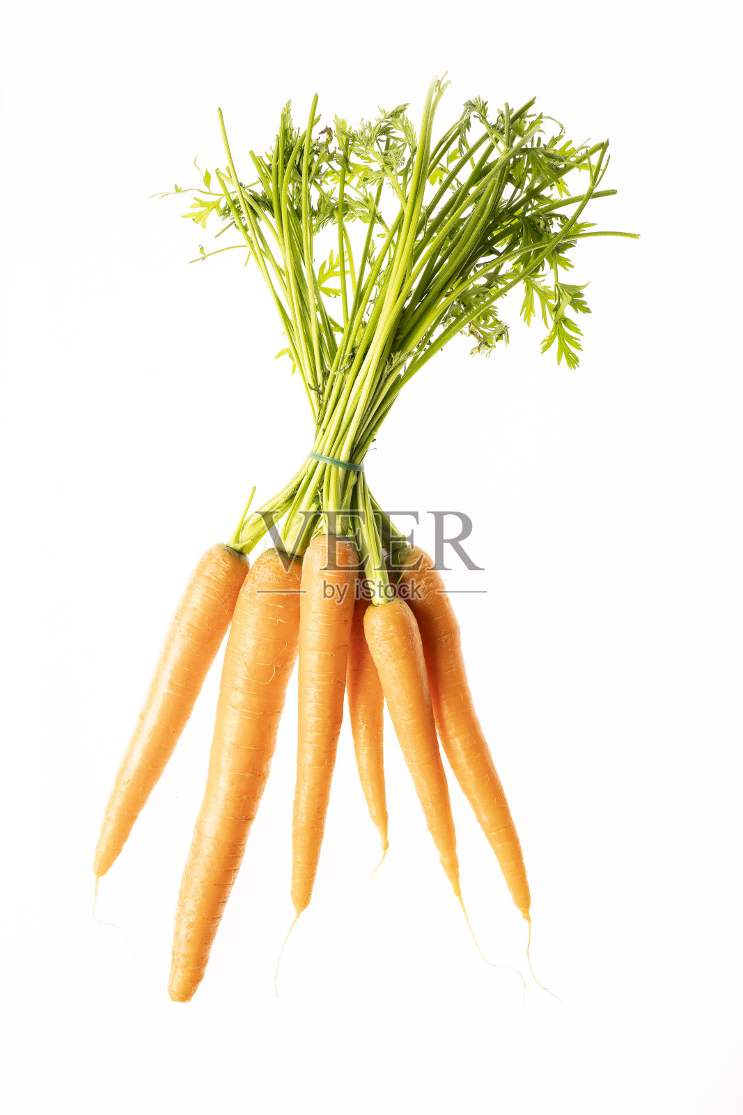 一些胡萝卜照片摄影图片