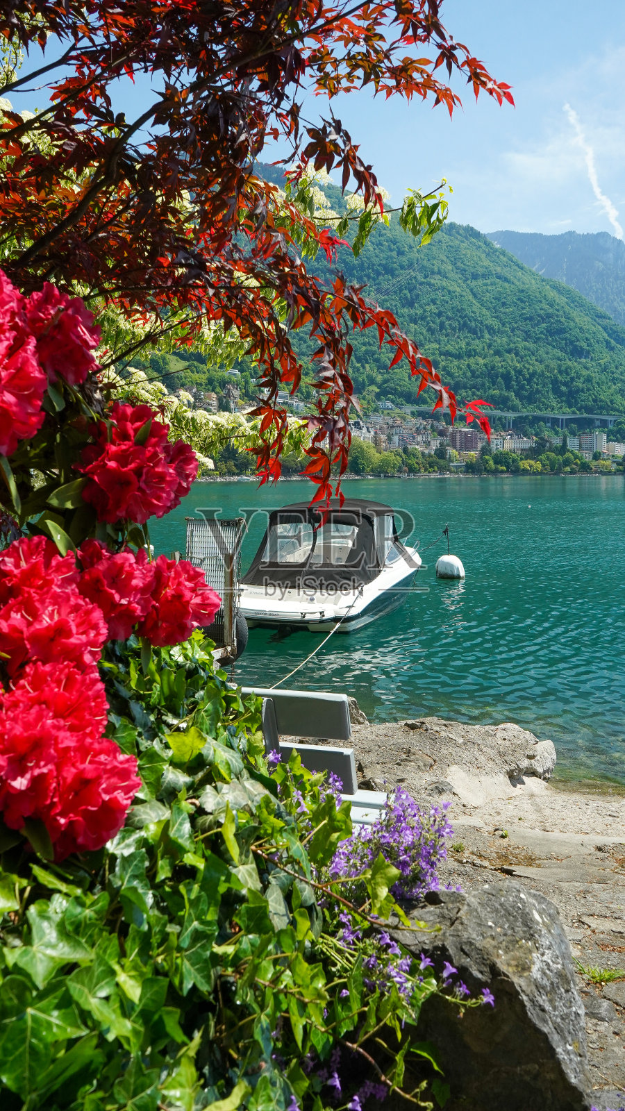 蒙特勒，瑞士蒙特勒的全景。照片摄影图片