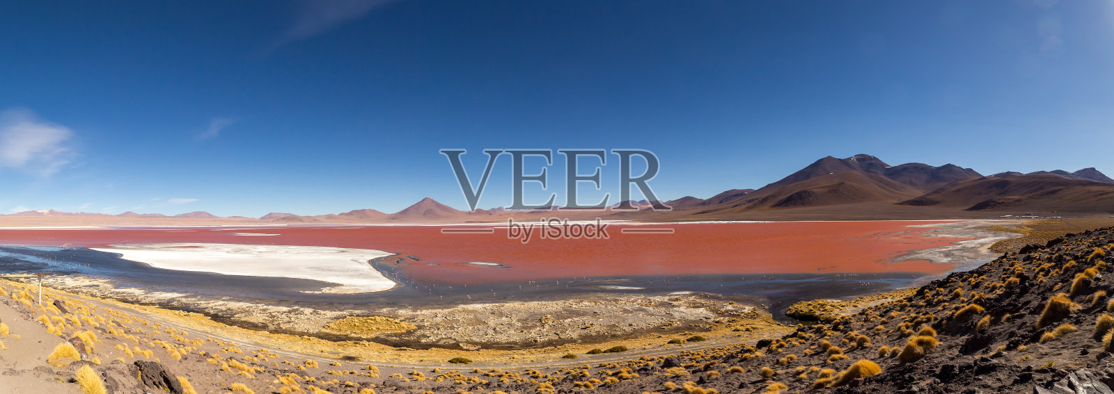 令人惊叹的科罗拉多湖全景，在玻利维亚照片摄影图片