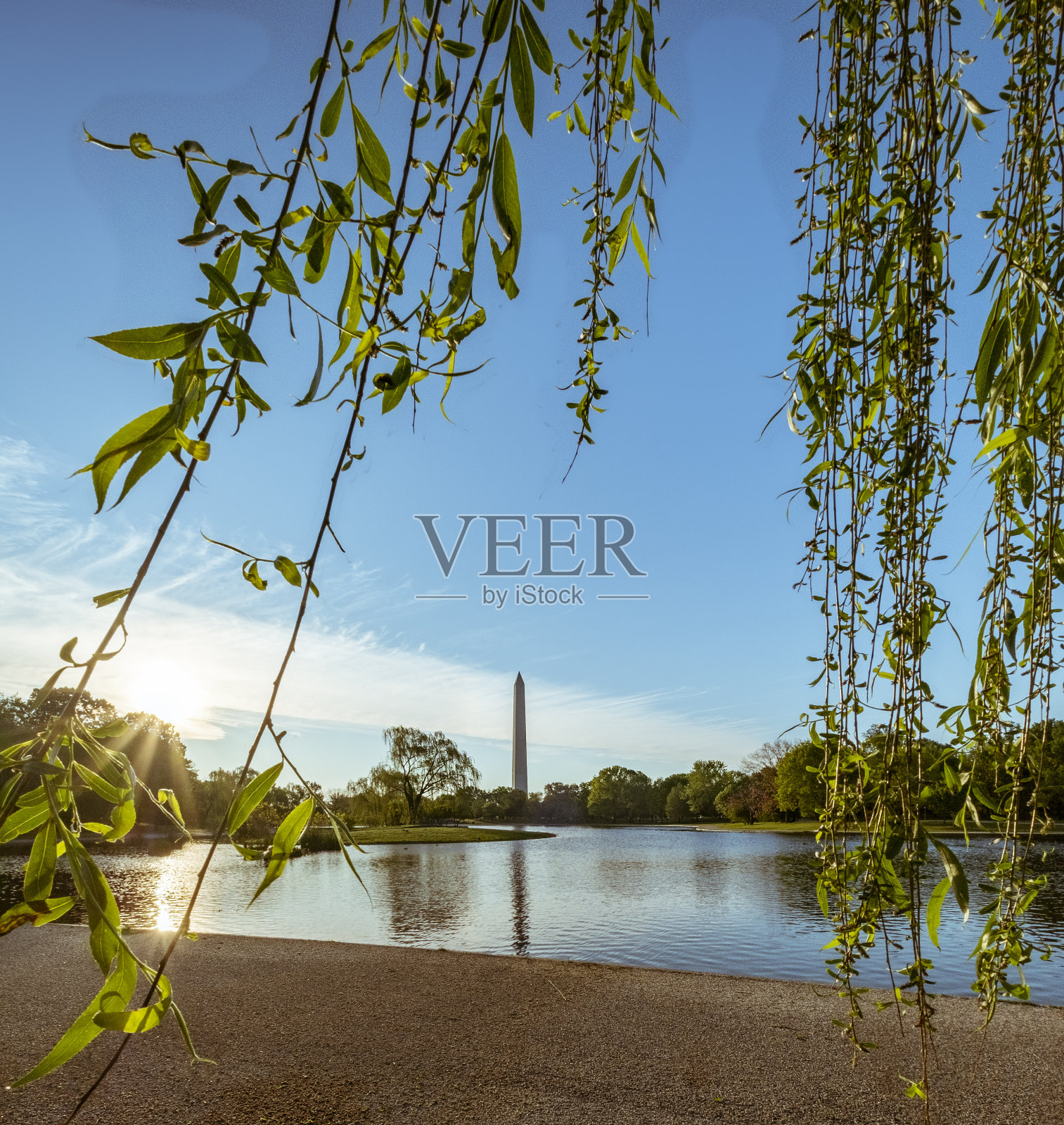 一个新的早晨照片摄影图片