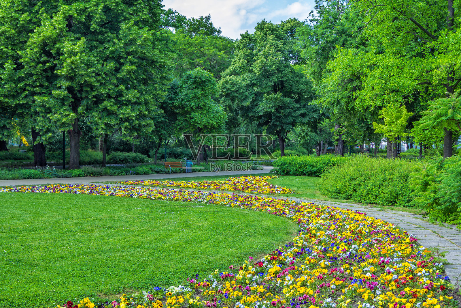 风景优美，夏季公园没有人照片摄影图片