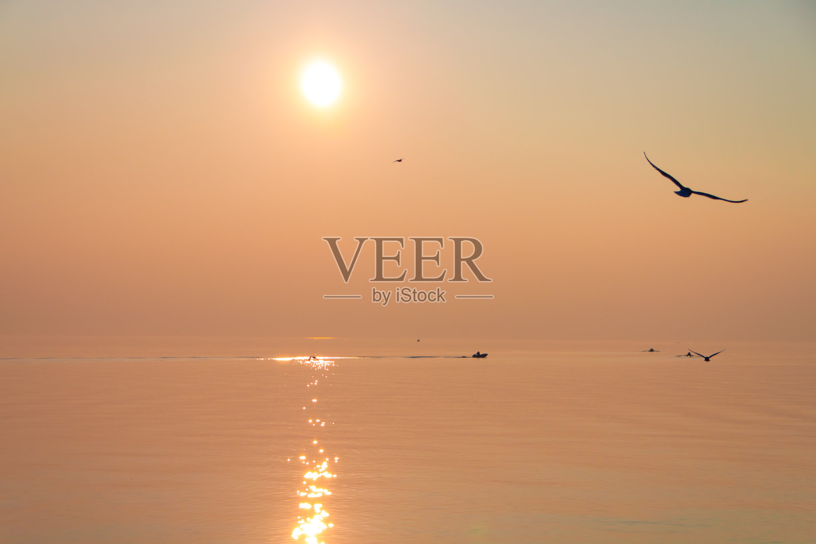 日落时，海鸥在波光粼粼的湖面上飞翔照片摄影图片