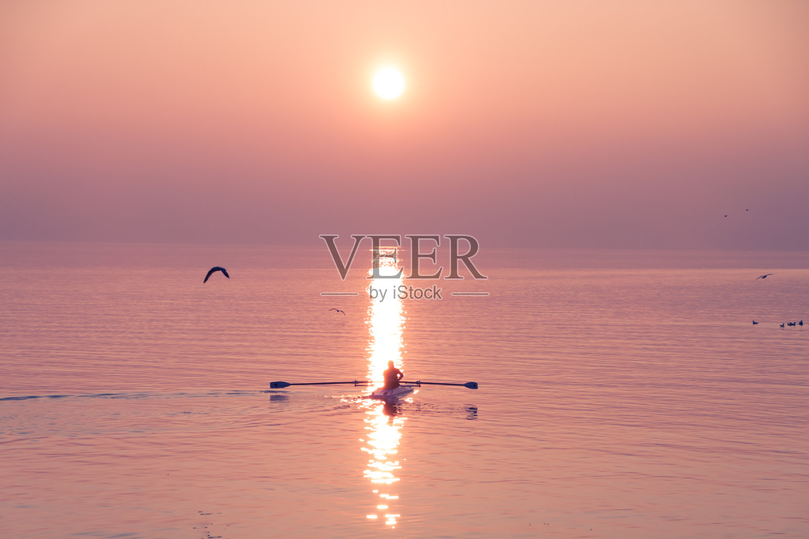 海鸥飞过赛艇队教练员在夕阳下波光粼粼的湖照片摄影图片