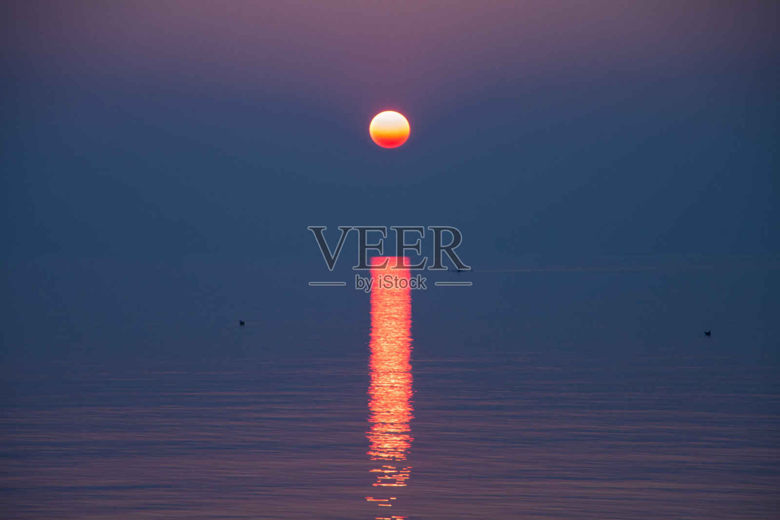 黎曼湖的深紫日落照片摄影图片