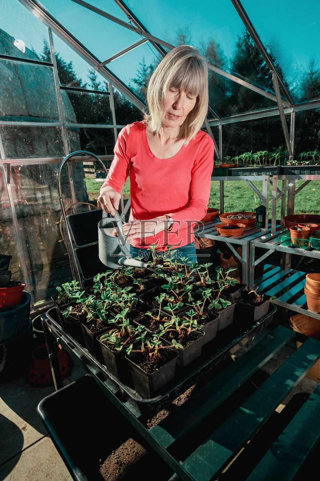 温室里的女人照片摄影图片