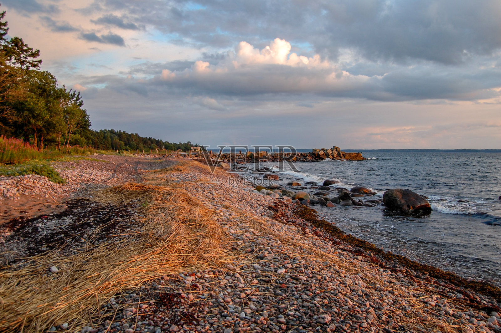 波罗的海的海滩照片摄影图片