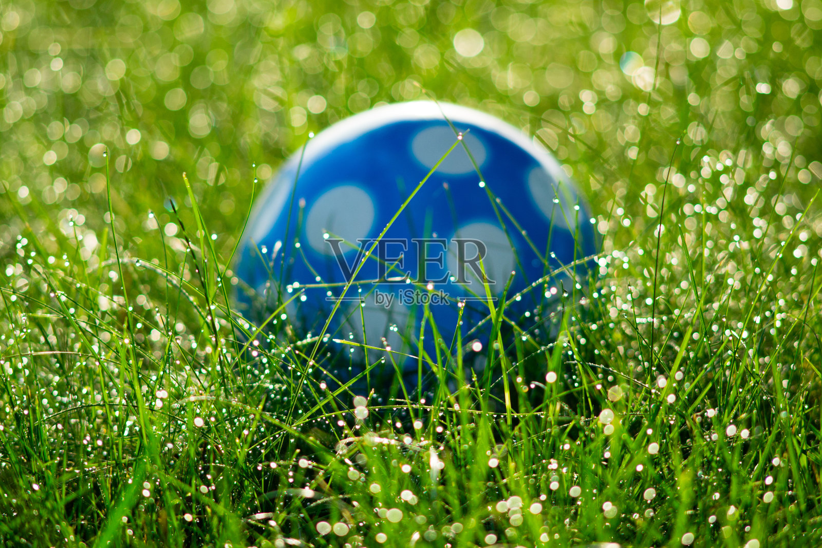 蓝色的球在草地上照片摄影图片