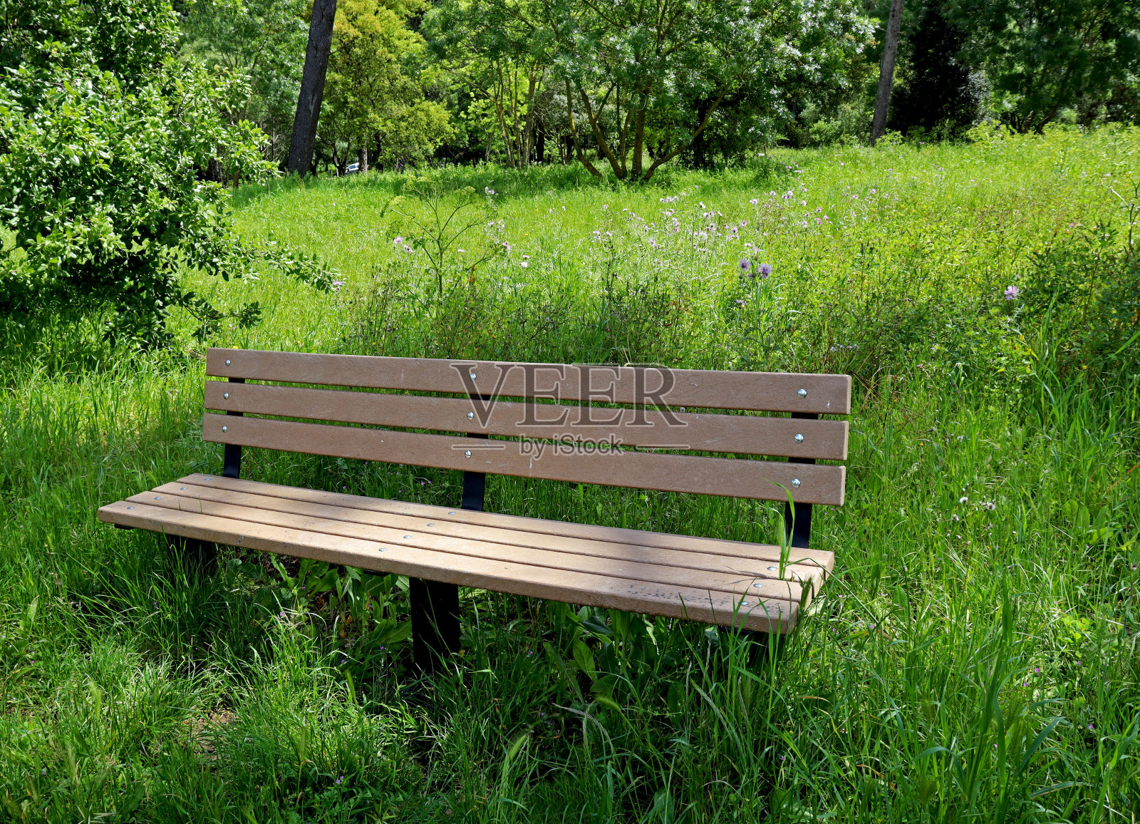 坐在大自然中照片摄影图片