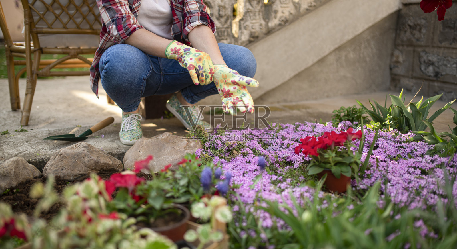 年轻的女人在花园里种花照片摄影图片