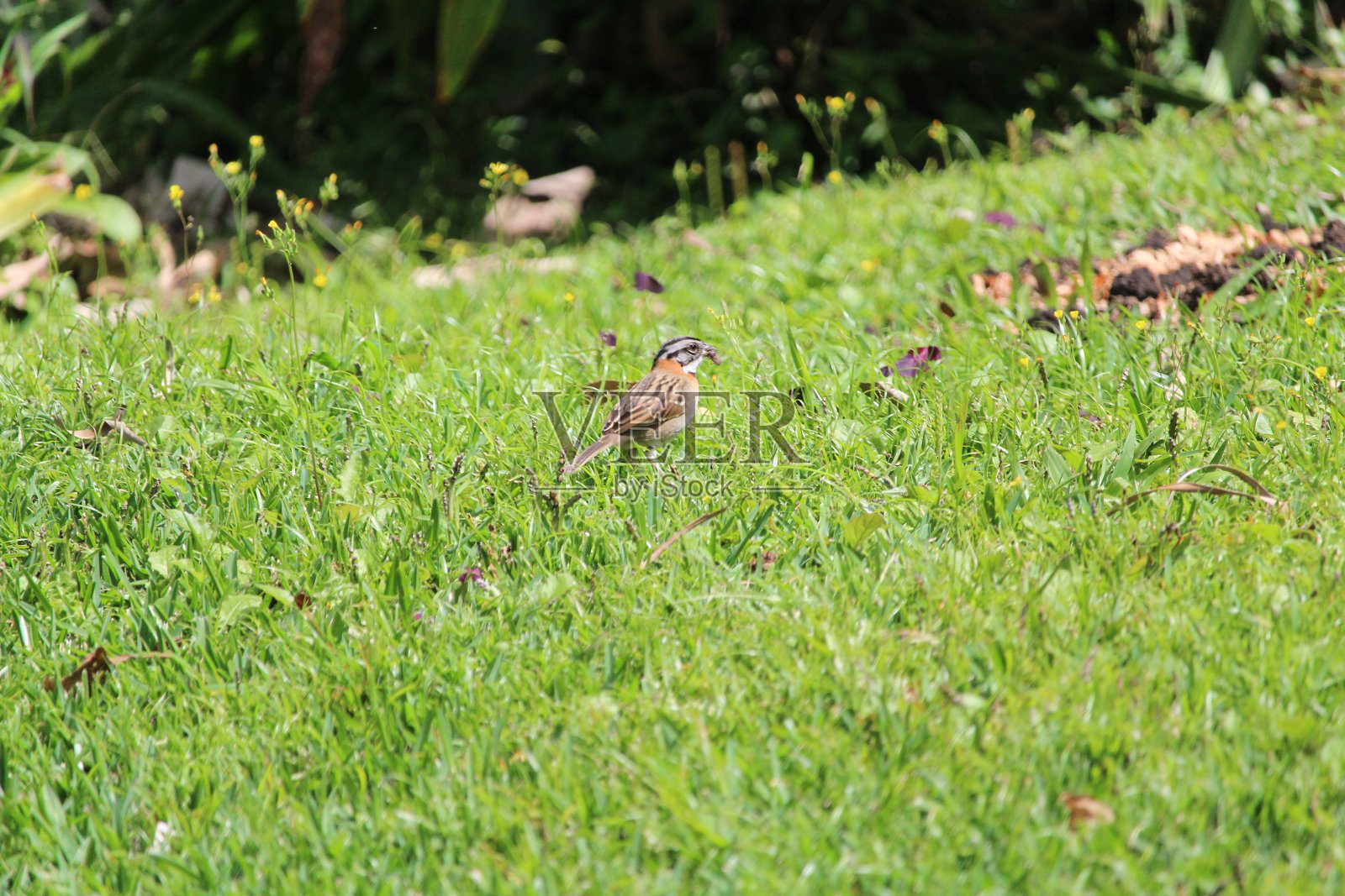 等待照片摄影图片