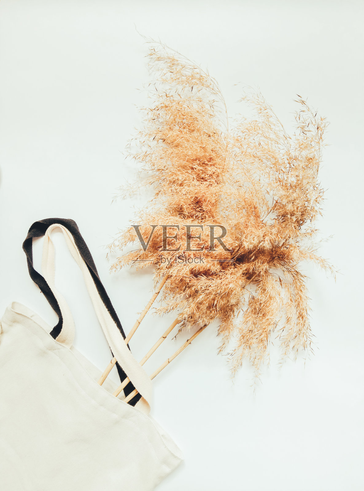 美丽的芦苇植物躺在一个亚麻环保袋照片摄影图片