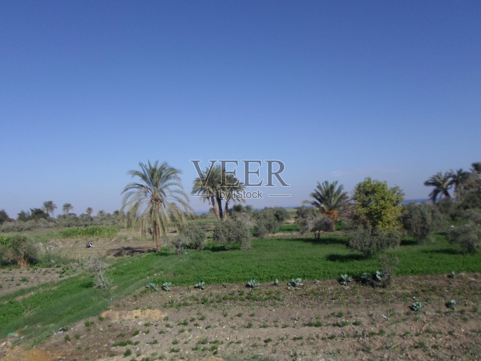 费尤姆的瓦迪赖扬路 - 埃及照片摄影图片