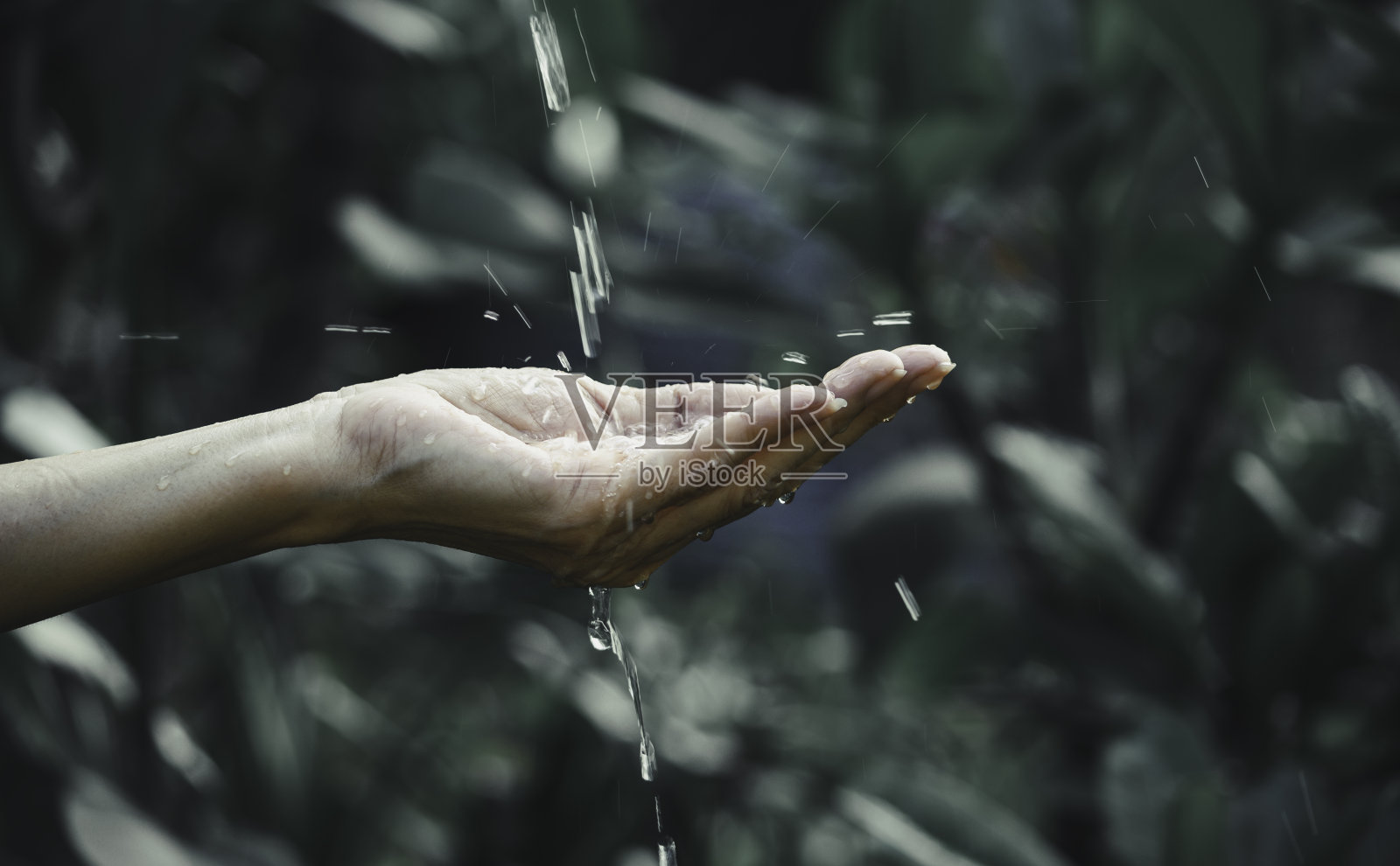 特写水流向手为自然概念的园林背景上。照片摄影图片
