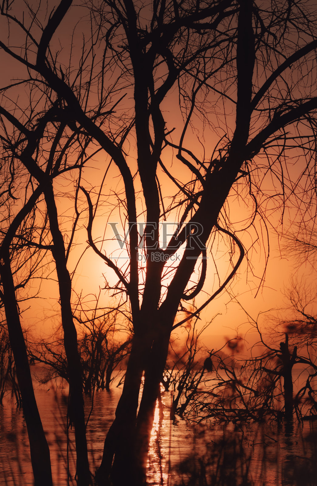 巴林戈湖-东非大裂谷-肯尼亚照片摄影图片