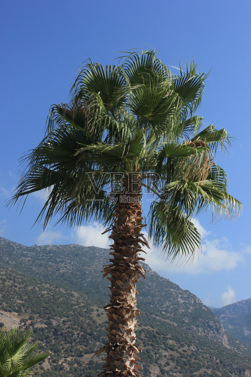 风景照片来自Muğla照片摄影图片