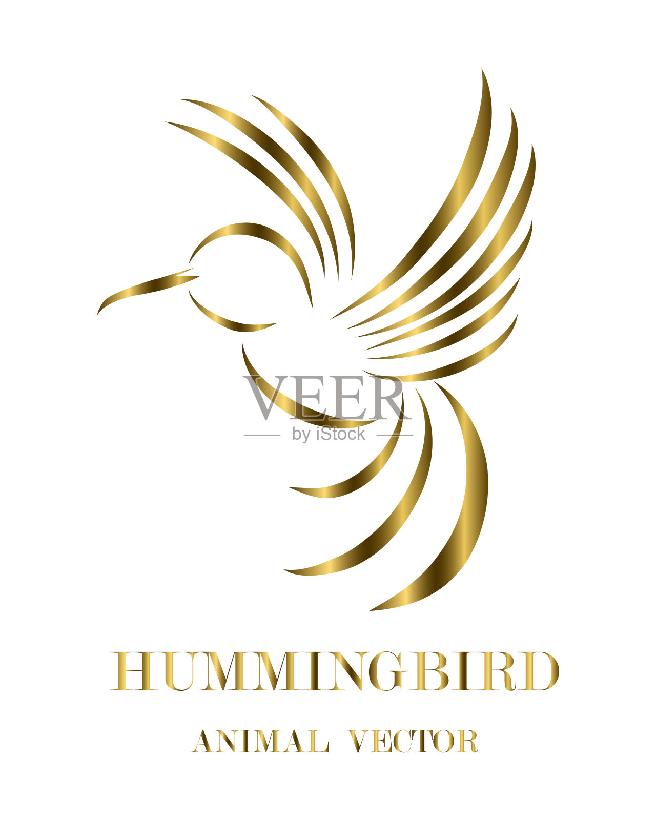 金色线艺术矢量插图在白色的背景飞行的蜂鸟。适合制作商标设计元素图片